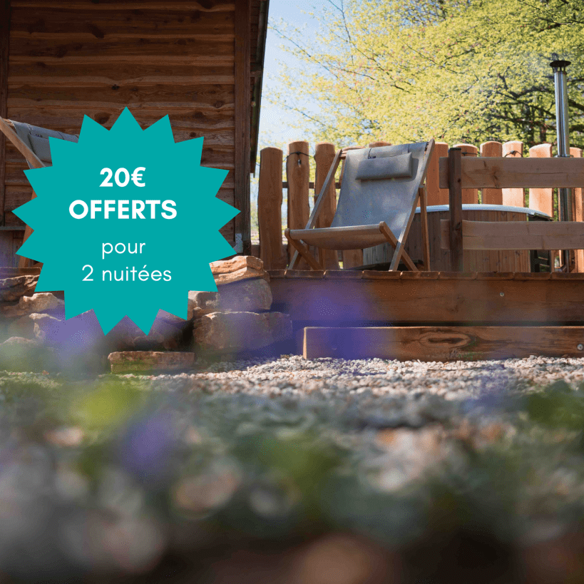 Carte cadeau réduc 20euros